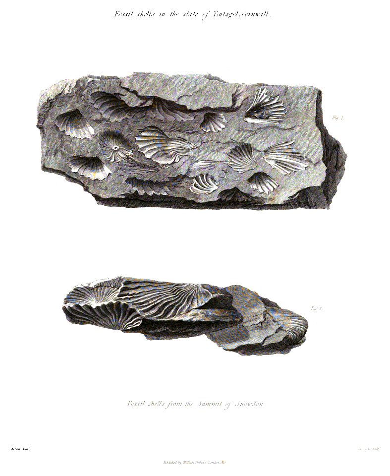 Transactions of the Geological Society, 1st series, vol. 4 plate page 0561