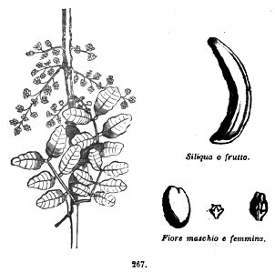 Trattato completo di agricoltura II fig076