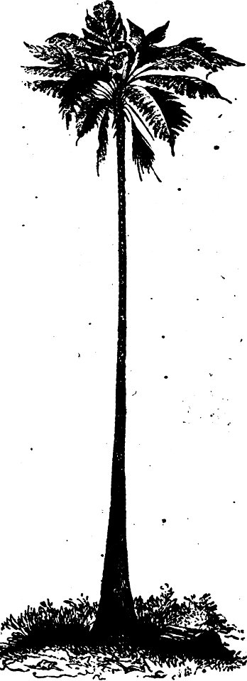 Trattato completo di agricoltura I fig035
