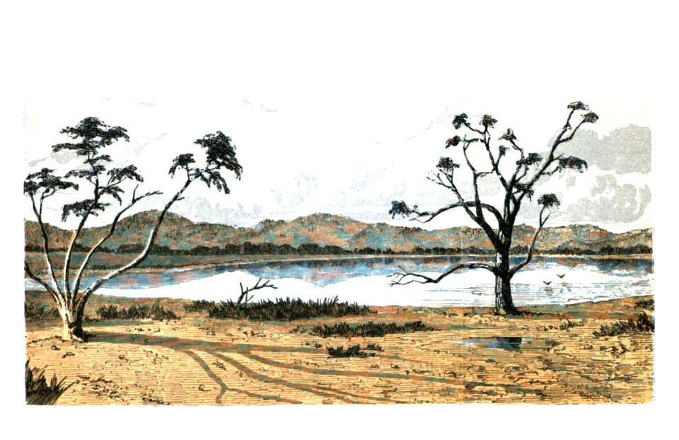 Tracks of McKinlay and Party Across Australia 0190, Kadhi Bieri or Massacre Lake