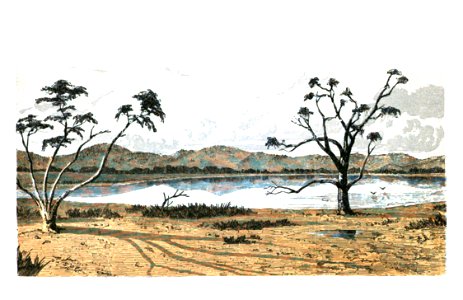 Tracks of McKinlay and Party Across Australia 0190, Kadhi Bieri or Massacre Lake