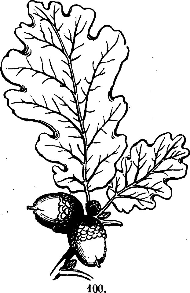 Trattato completo di agricoltura I fig074