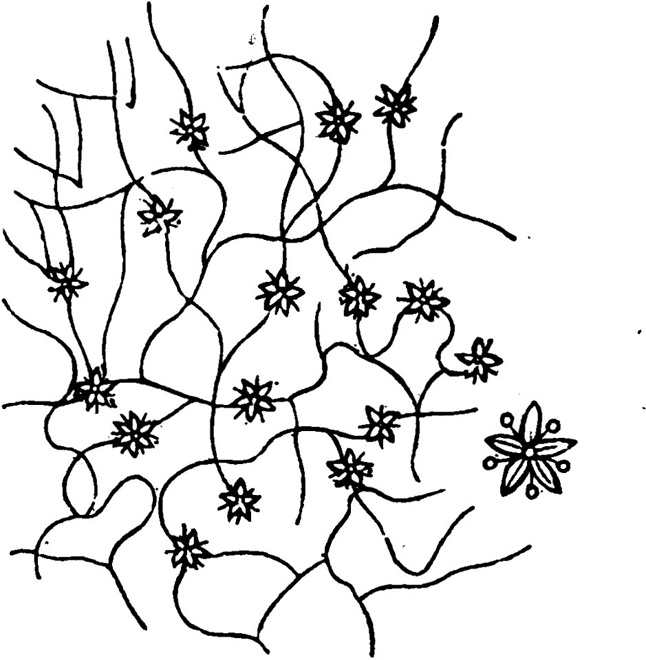 Trattato completo di agricoltura I fig108