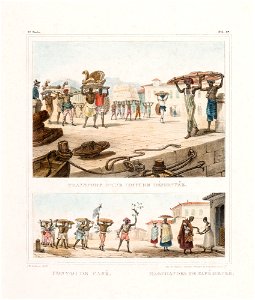 Transport d´une voiture démontée (2), da Coleção Brasiliana Iconográfica