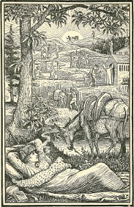 Travels with a Donkey in the Cévennes - frontispiece
