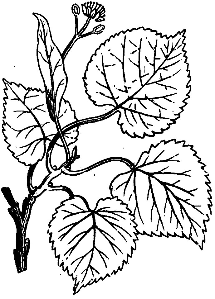 Trattato completo di agricoltura I fig0701
