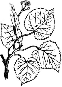 Trattato completo di agricoltura I fig0701