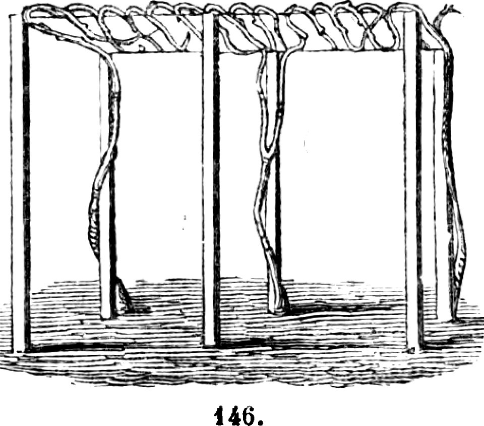 Trattato completo di agricoltura I fig113