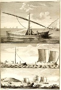 Traité général des pesches et (...)Duhamel Du btv1b8626557g 117