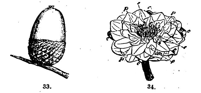 Trattato completo di agricoltura I fig023