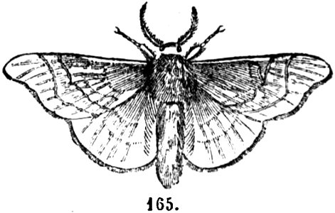 Trattato completo di agricoltura I fig129
