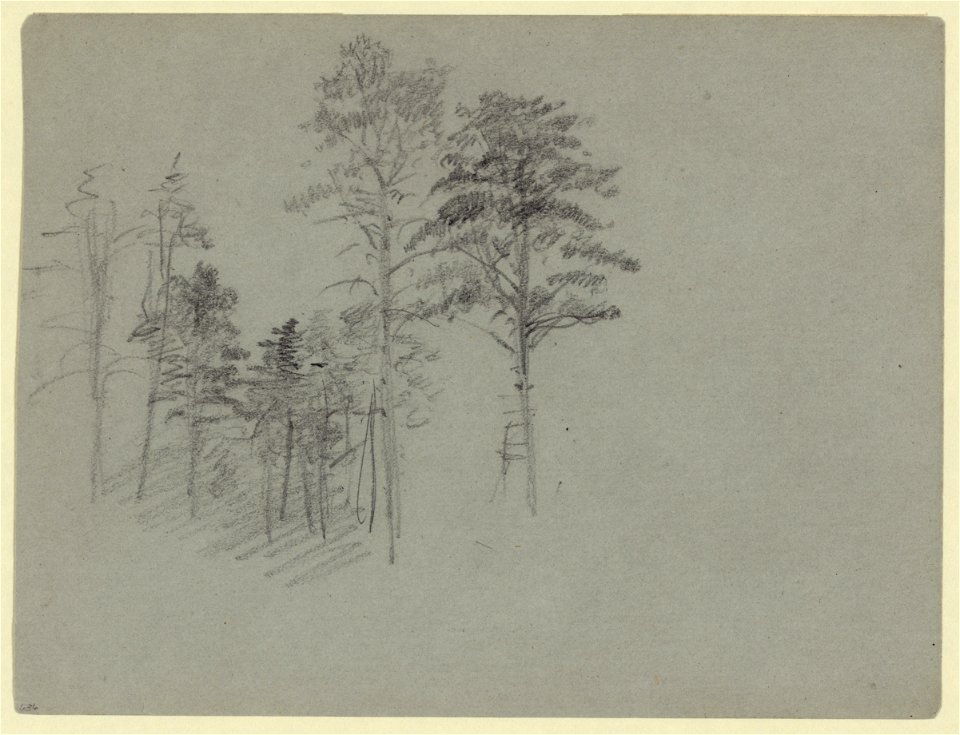 Trees LCCN2004660944