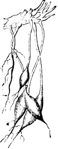Trattato completo di agricoltura I fig007