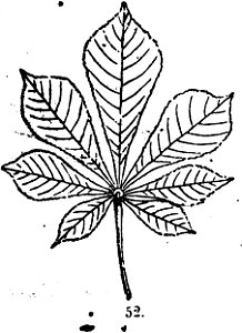 Trattato completo di agricoltura I fig034