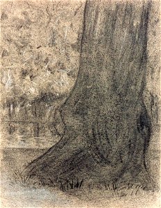Tree Trunk by the Water by Theo van Doesburg Centraal Museum AB4298