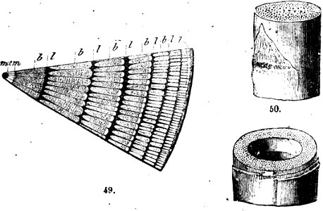 Trattato completo di agricoltura I fig033