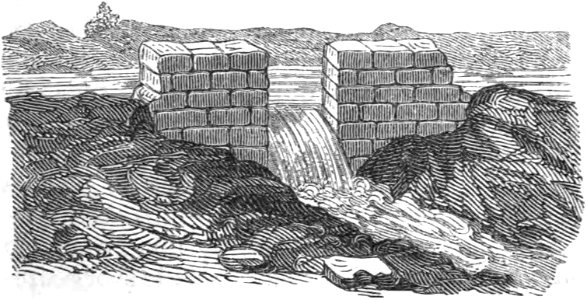 Trattato completo di agricoltura I fig091