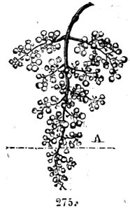 Trattato completo di agricoltura II fig083