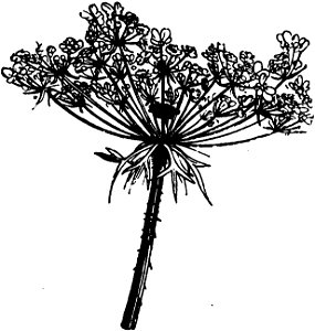 Trattato completo di agricoltura I fig107