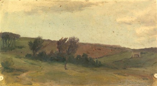 Trees in a landscape