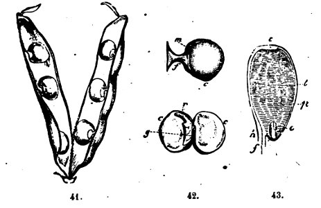 Trattato completo di agricoltura I fig028