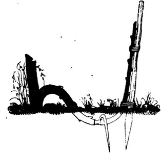 Trattato completo di agricoltura I fig111