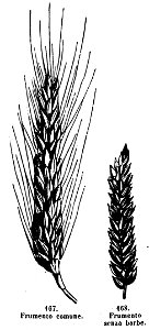Trattato completo di agricoltura I fig131