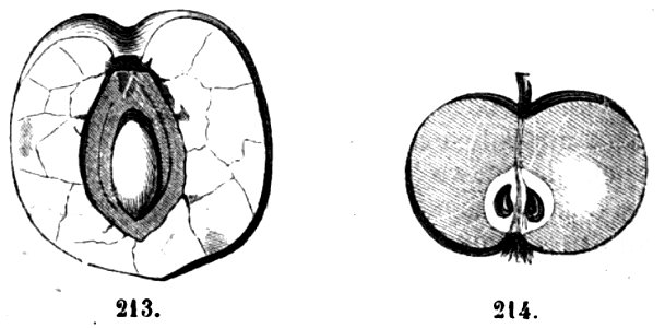 Trattato completo di agricoltura II fig027