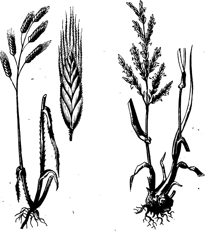 Trattato completo di agricoltura I fig105