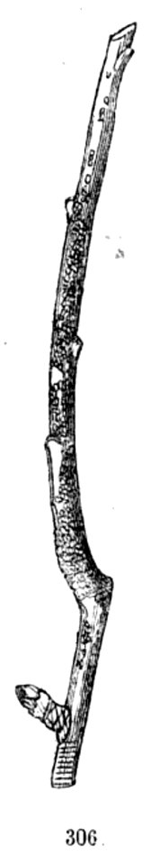 Trattato completo di agricoltura II fig107