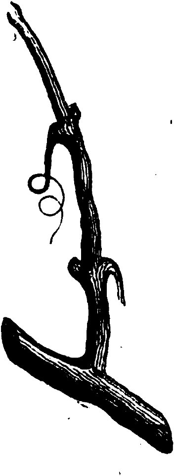 Trattato completo di agricoltura I fig109