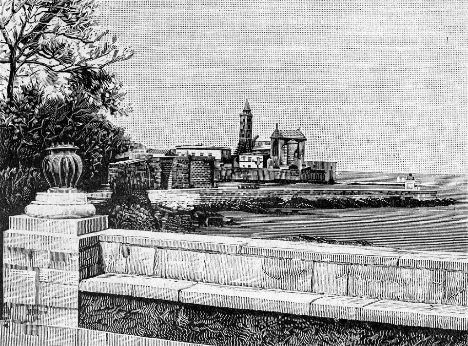 Trani – La Cattedrale vista dalla Villa (xilografia)