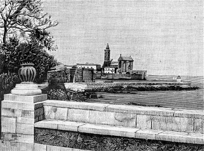 Trani – La Cattedrale vista dalla Villa (xilografia)