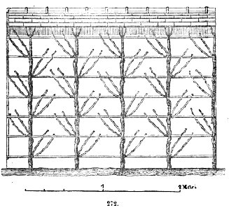 Trattato completo di agricoltura II fig080