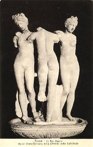 Tre grazie, piccolomini