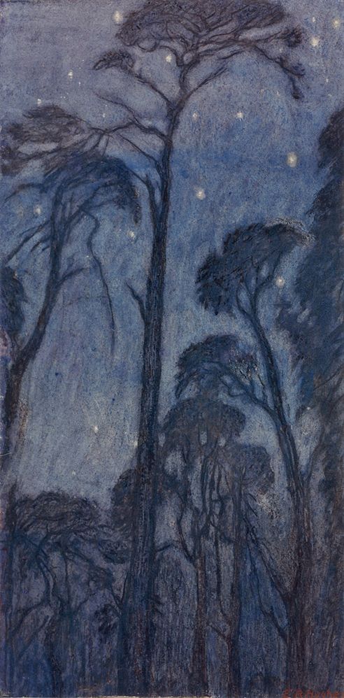 Trees at Twilight
