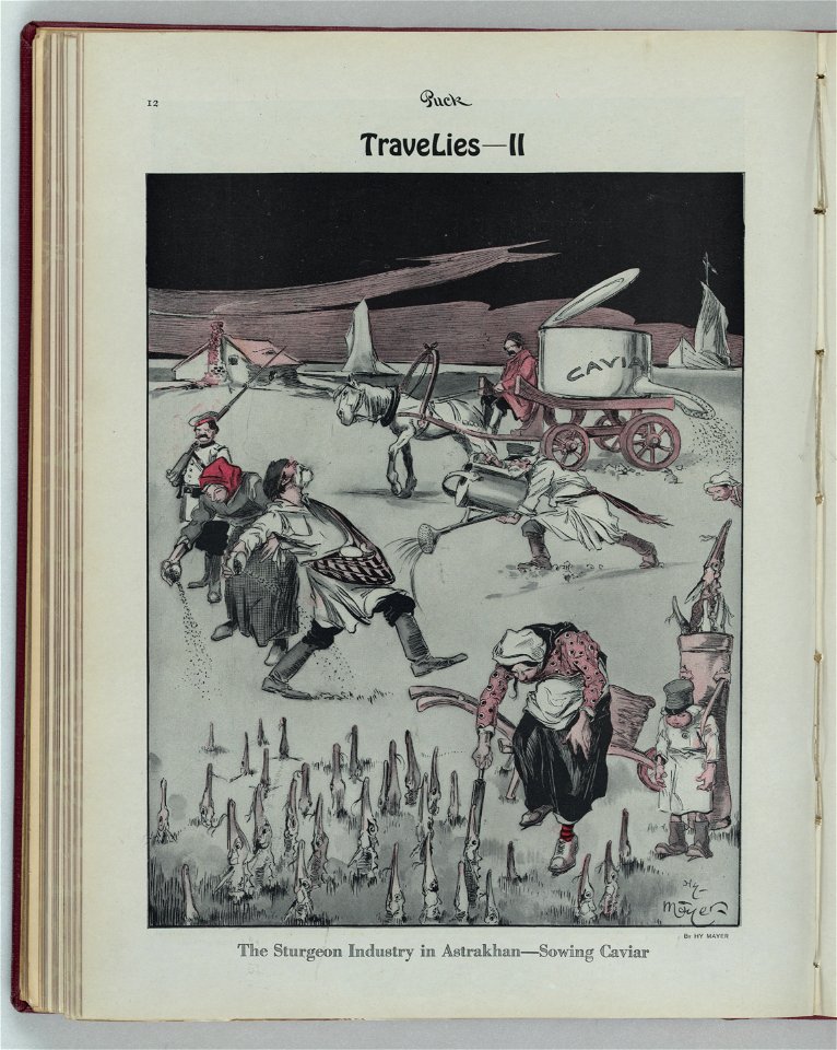 Travelies. II, The sturgeon industry in Astrakhan - sowing caviar - Hy Mayer ; by Hy Mayer. LCCN2011649795