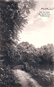 Trebizonde - On the route to Soğuksu