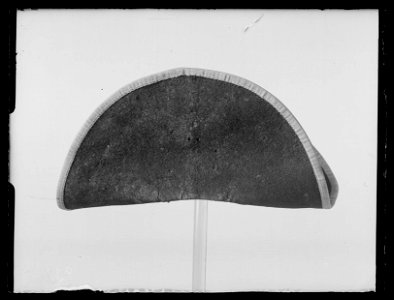 Trekantig hatt, från Adolf Fredriks tid - Kongl. Maj-ts Liverie för Musiken - Livrustkammaren - 70642