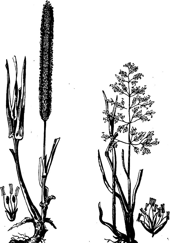 Trattato completo di agricoltura I fig106