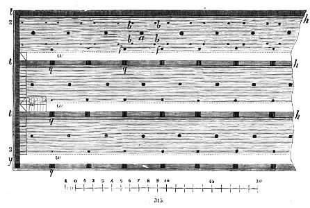 Trattato completo di agricoltura II fig115