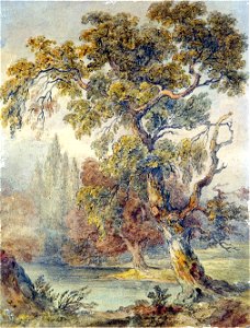 Trees and Pond Ruskin
