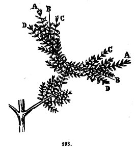Trattato completo di agricoltura II fig015b