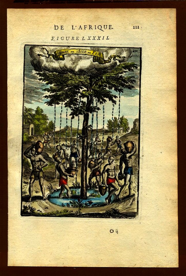 Tree on the Island of Fer (Hierro), 1683