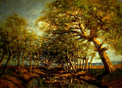 Trees on the Stream Bank