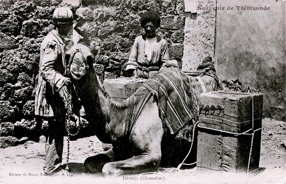 Trebizond - Camel rider