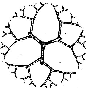 Trattato completo di agricoltura I fig127