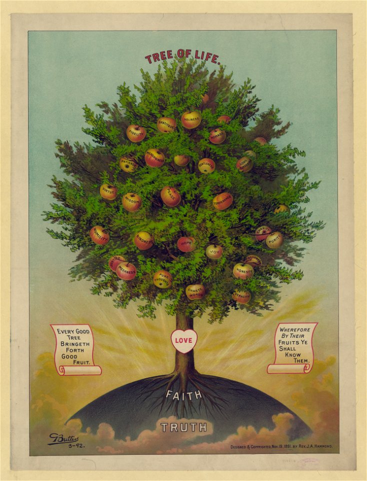 Tree of life - G. Butters ; designed by Rev. J.A. Hammond. LCCN94513483