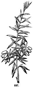 Trattato completo di agricoltura II fig008