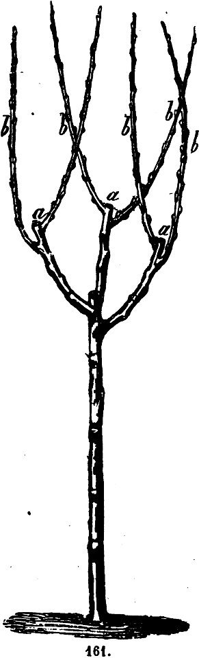 Trattato completo di agricoltura I fig125